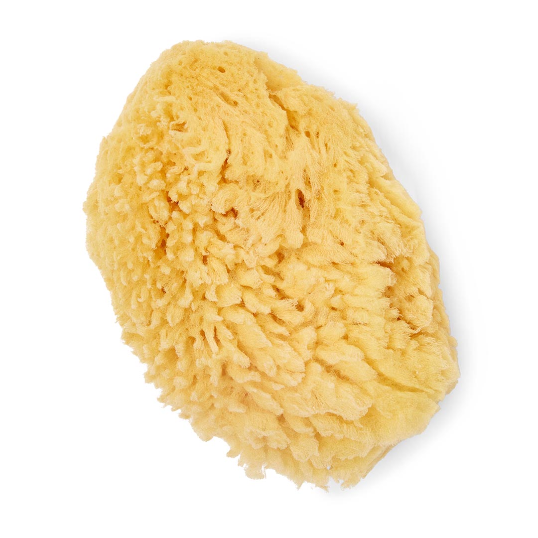 Natural sponge