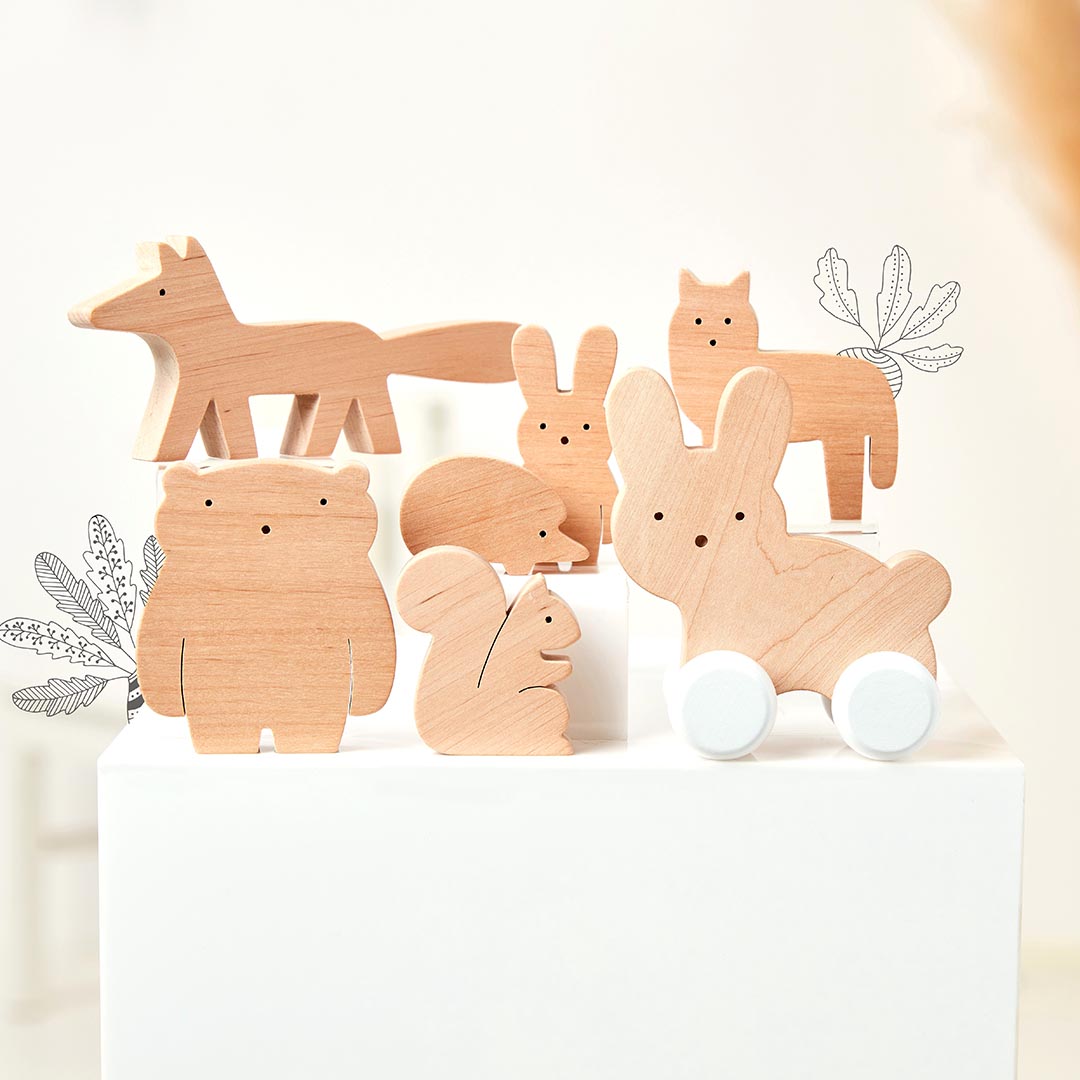 Wood Toys Gift Set