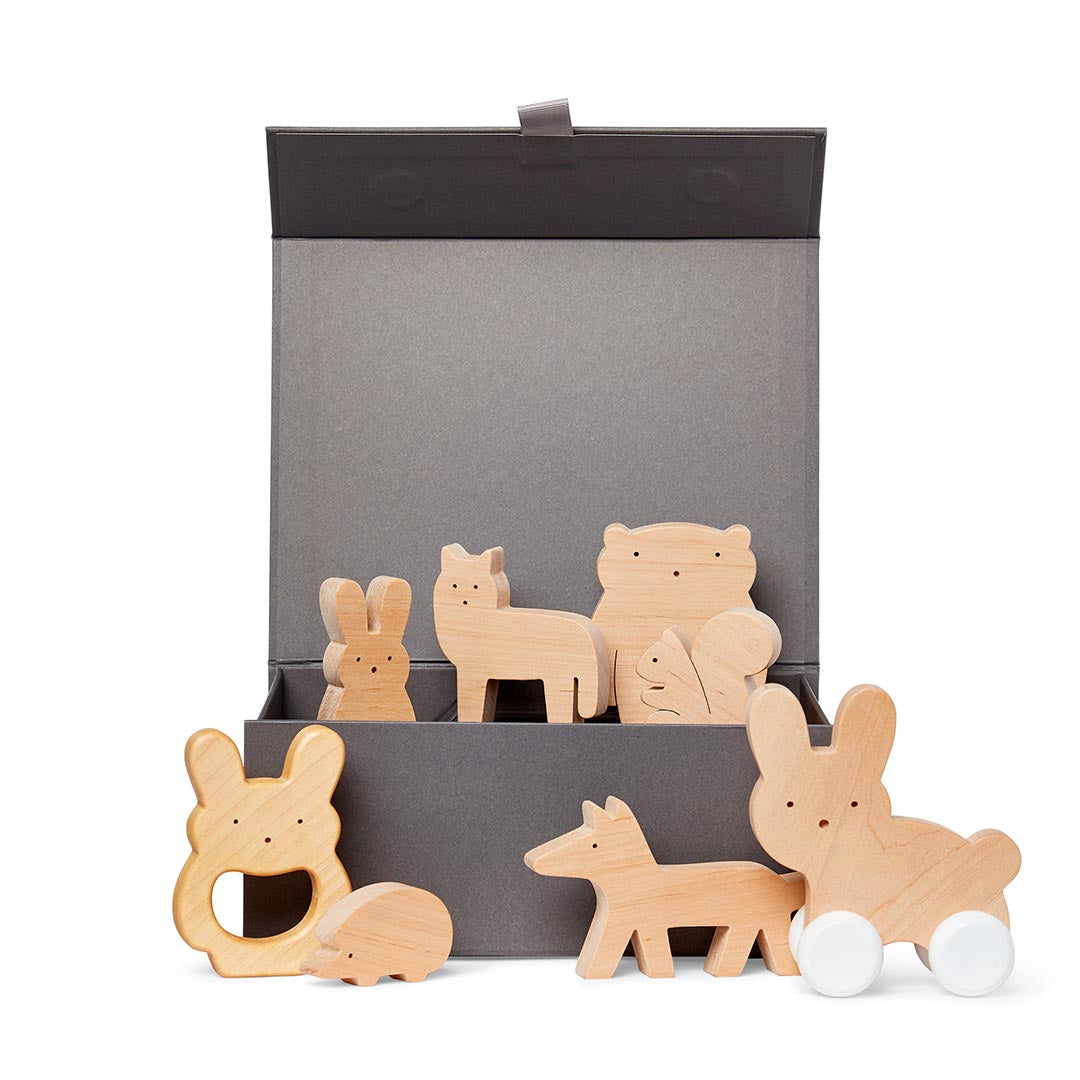 Wood Toys Gift Set