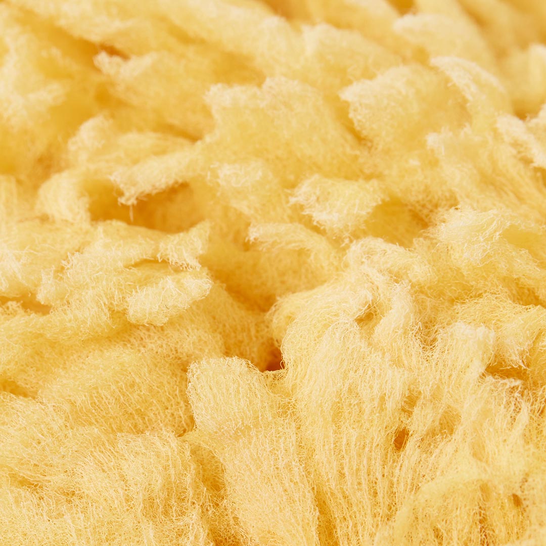 Éponge de mer naturelle hypoallergénique et antibactérienne, idéale pour la toilette quotidienne des peaux à tendance atopique.